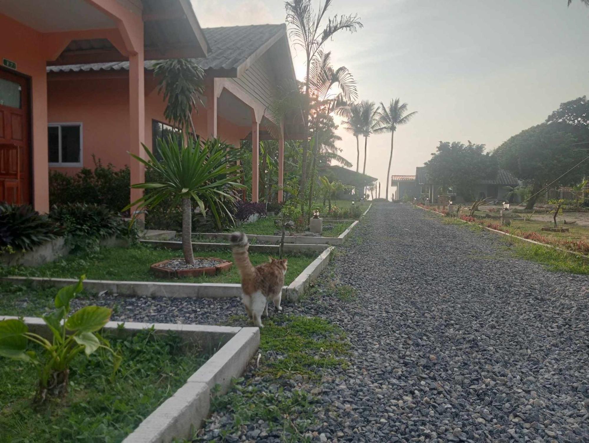 Scandinavian Beach Resort Ko Lanta 外观 照片